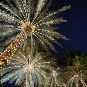 Meet your Posher, Catie